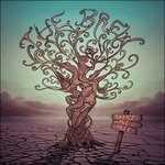 CD Shake the Tree Brew