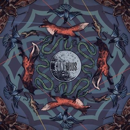 Bozkir - Vinile LP di Congulus