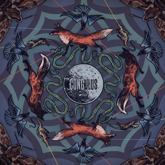 Bozkir - Vinile LP di Congulus