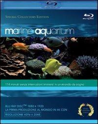 Marine Aquarium di Timm Hogerzeil - Blu-ray