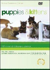 Puppies & Kittens<span>.</span> Special Collector's Edition di Timm Hendrik Hogerzeil - DVD