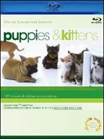 Puppies & Kittens