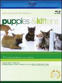 Puppies & Kittens<span>.</span> Special Collector's Edition di Timm Hendrik Hogerzeil - Blu-ray
