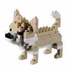 Animali Cani Chihuahua