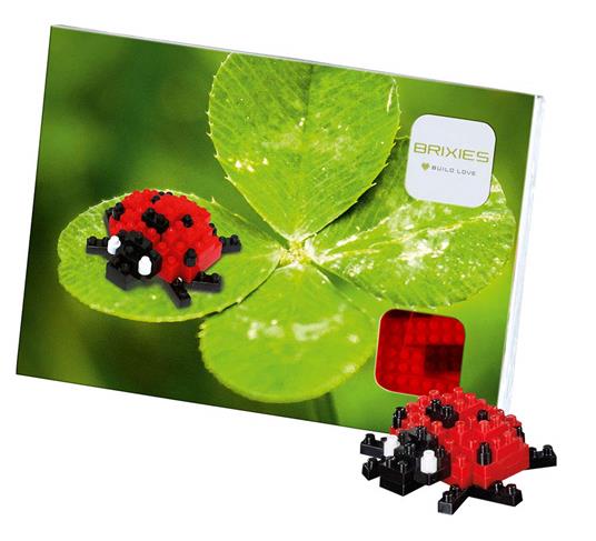 Brixies: Cartolina Coccinella - 49 pz.