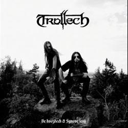 Ve Hvozdech / Synove Lesu Dcd - CD Audio di Trollech