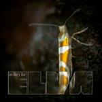 Elva