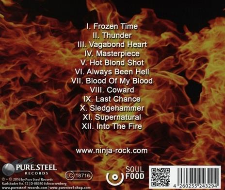 Into the Fire - CD Audio di Ninja - 2