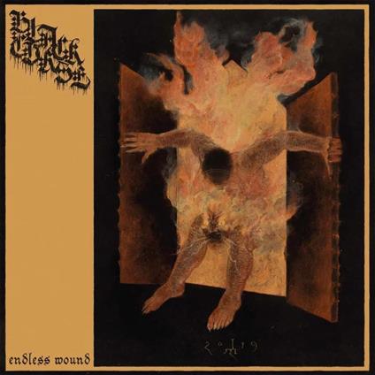 Endless Wound - CD Audio di Black Curse