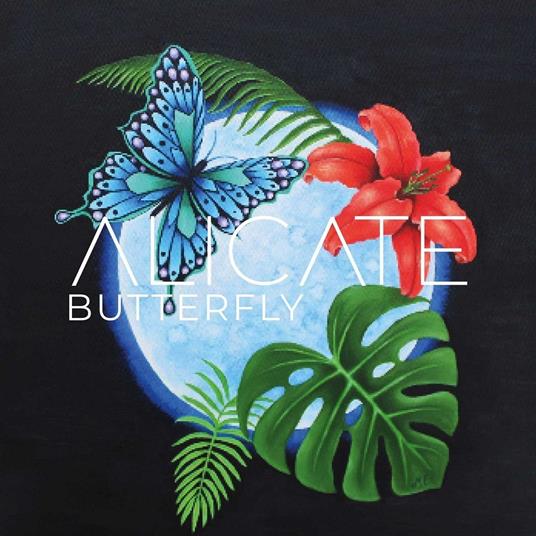 Butterfly - CD Audio di Alicate