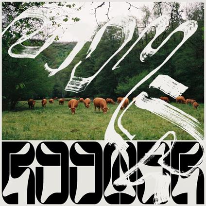 Skice - Vinile LP di Roomer