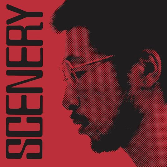 Scenery - Vinile LP di Ryo Fukui