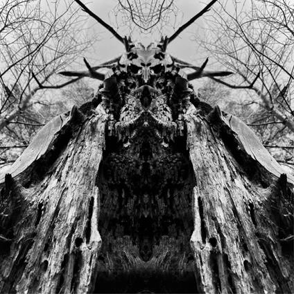 To Serve The Dune - CD Audio di Rulaman