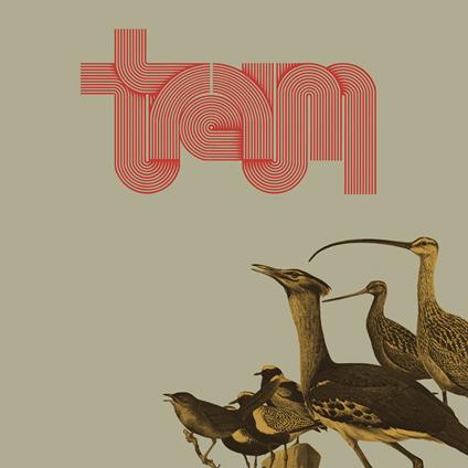 Traum - Vinile LP di Traum