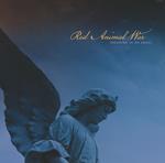 Breaking In An Angel