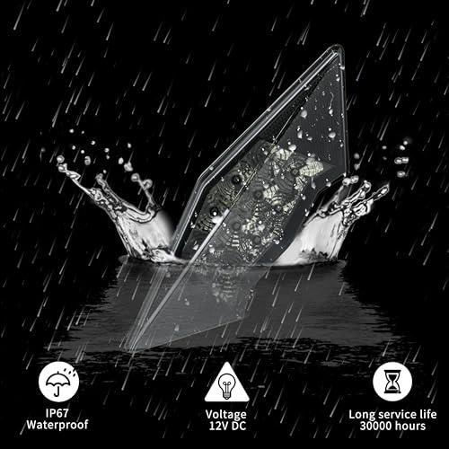 Rock X-Plosion (Picture Disc) - Vinile 7'' di Guns N' Roses