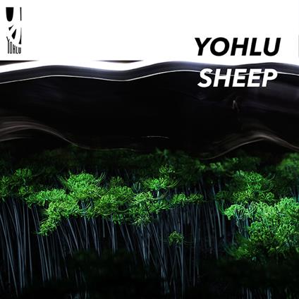 Sheep - Andi - Vinile LP di Yohlu