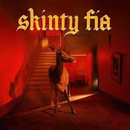Skinty Fia - Vinile LP di Fontaines D.C.