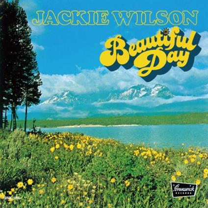 Beautiful Day - CD Audio di Jackie Wilson