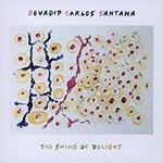 Swing of Delight