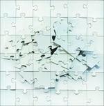 Destroy to Rebuild - CD Audio di Not Scientists