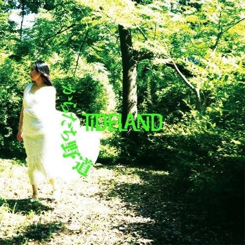 Karatachi Country Path - Vinile LP di Tideland