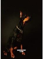 1st Song  (Limited-Cd+Dvd)