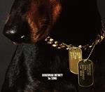 1st Song (Limited-Bonus Cd)