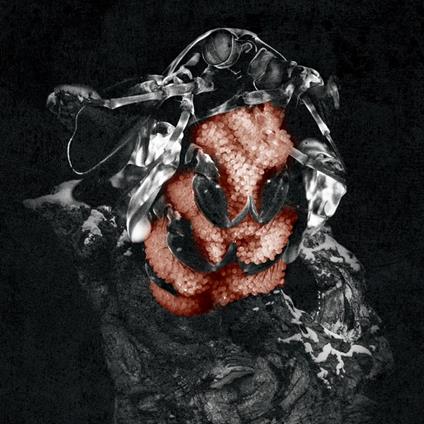 Gloom - CD Audio di My Lonely Sea