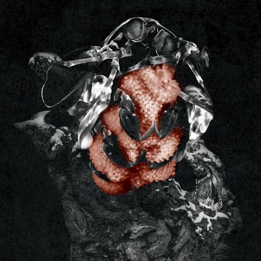 Gloom - CD Audio di My Lonely Sea