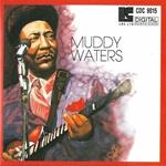 Muddy Waters