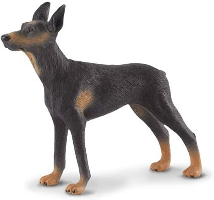 Dobermann Pinscher