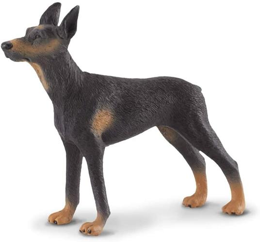 Dobermann Pinscher