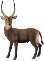 Antilope Cobo