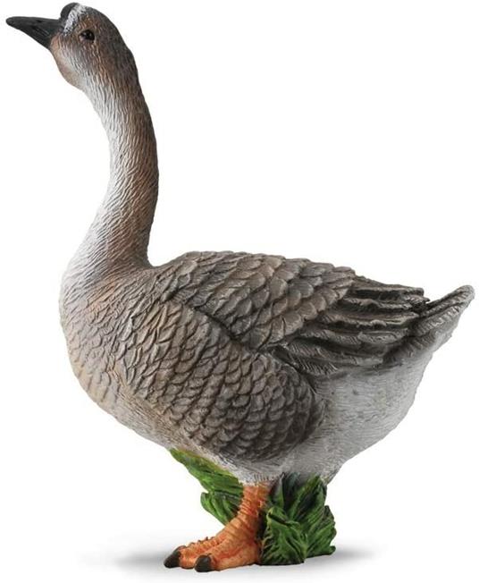 Oca