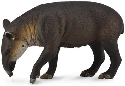 Tapiro Di Baird