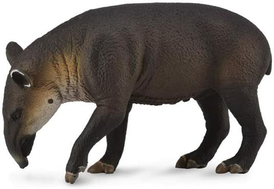 Tapiro Di Baird