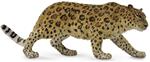 Leopardo Dell'Amur