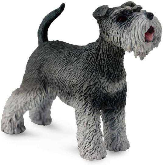 Schnauzer