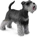 Schnauzer