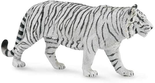 Tigre Bianca