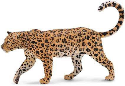 Leopardo Africano