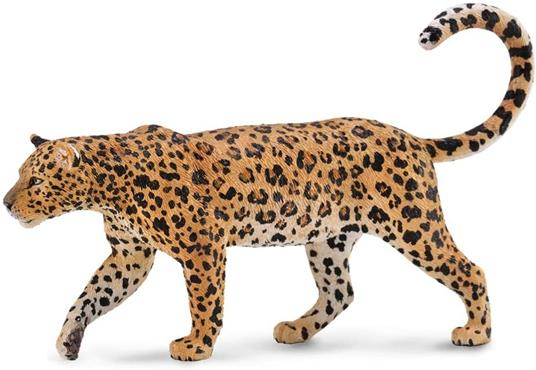 Leopardo Africano