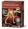 Scava un fossile T-rex - 2