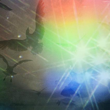 Hibana (Limited) - Vinile LP di Cornelius