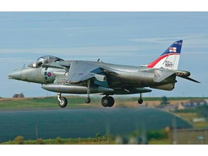 HASEGAWA 01923 HARRIER GR MK 9 FAA 100TH ANNIVERSARY 1:72 KIT Modellino