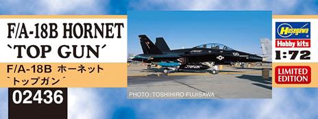 F/A-18B Hornet Top Gun - 2