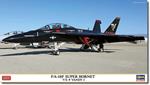 FA-18F Super Hornet VX9 Vandy 1