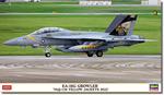 EA-18G Growler, VAQ 138, Yellow Jackets 2022