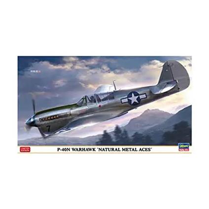 1/48 P-40n Warhawk Natural Metal Aces (HA07516)